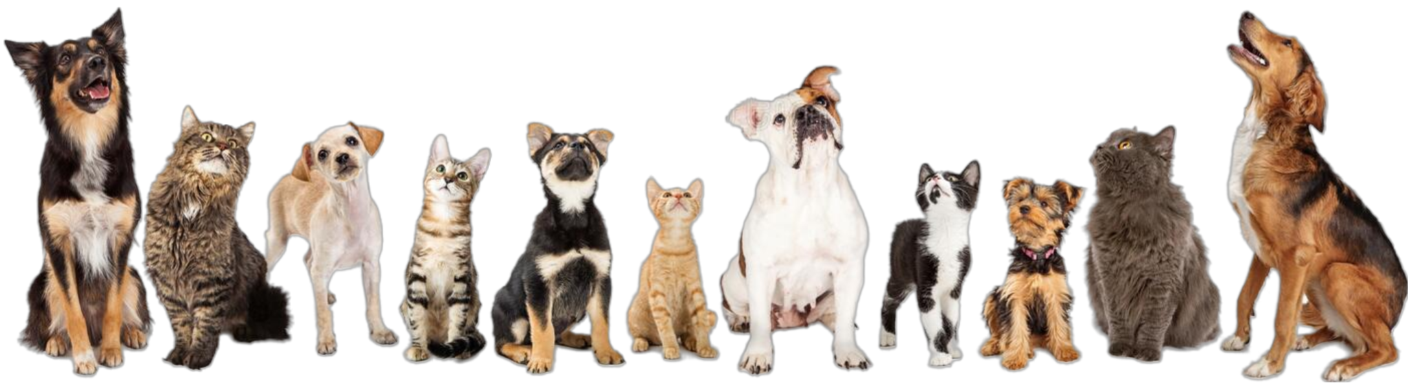 imagen de pie de pagina