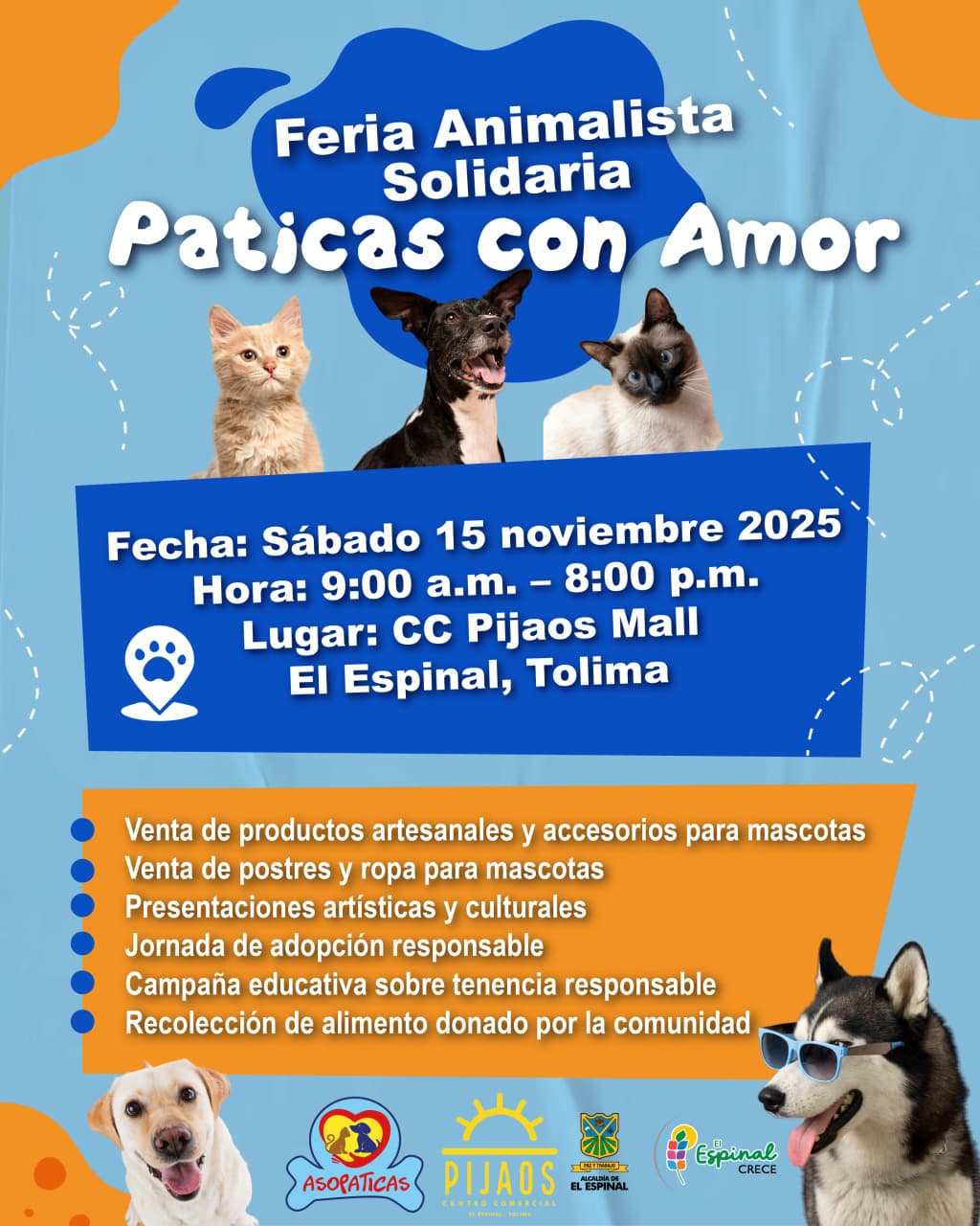 Imagen de la noticia